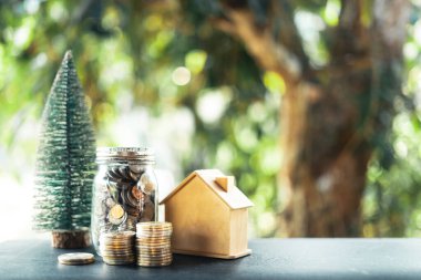 Ev için para biriktir, Ev isyanı kavramı, doğa ışığı ve arka plan