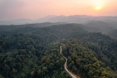 Yol ve yeşil ağaçlar yukarıdan yaz ormanlarında, orman yolunda