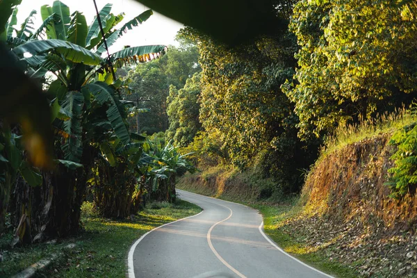 Estrada Leva Aldeias Rurais Árvores Verdes Longo Caminho Verão — Fotografia de Stock
