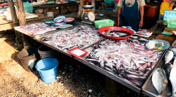 Fisk Skaldyr Marked Nær Det Tropiske Hav - Stock-foto