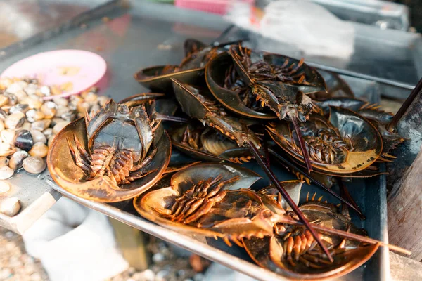 Makanan Laut Mentah Pasar Dekat Laut Tropis — Stok Foto