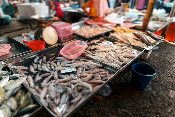 Oberedda Skaldjur Marknad Nära Det Tropiska Havet — Stockfoto