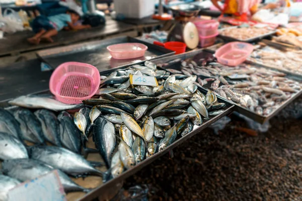 Frutos Mar Bruto Num Mercado Próximo Mar Tropical — Fotografia de Stock