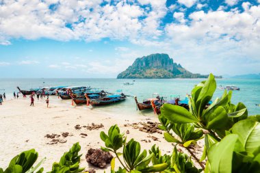 ada ve uzun kuyruklu tekne ve adanın plajı, Krabi, Tayland