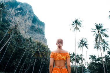 Yaz tatili, hindistan cevizi ağaçları ve tropik dağlar..