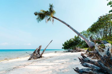 Öğleden sonra tropikal bir adada kumsal, beyaz kum ve mavi deniz