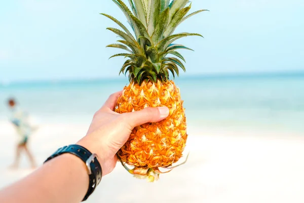 Pineapple Sea Summer Fruit — Stok fotoğraf