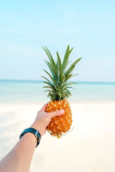 Abacaxi Mar Fruta Verão — Fotografia de Stock
