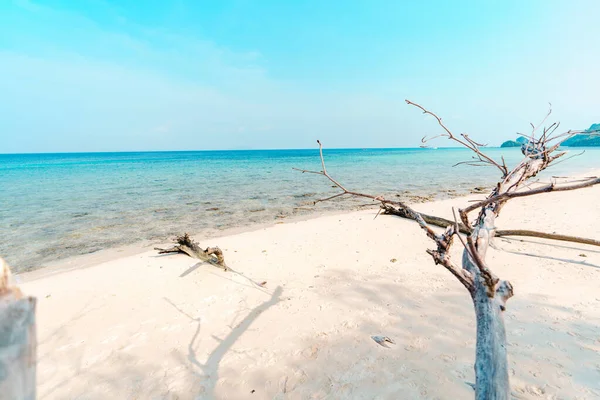 Strand Tropisk Eftermiddagen Vit Sand Och Blått Hav — Stockfoto