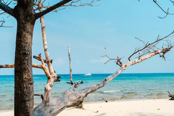 Strand Tropisk Eftermiddagen Vit Sand Och Blått Hav — Stockfoto