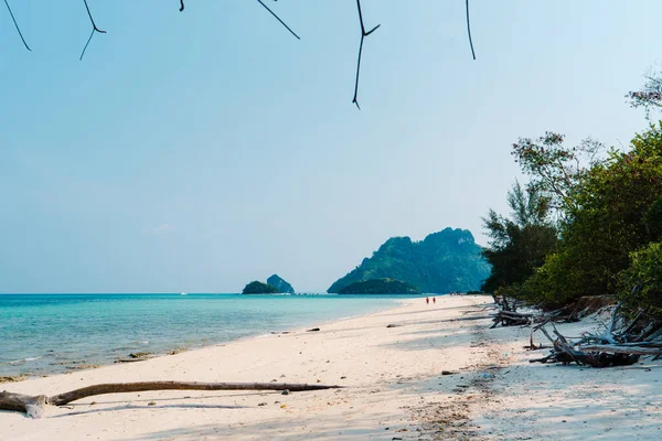Öğleden sonra tropikal bir adada kumsal, beyaz kum ve mavi deniz