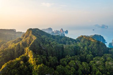 Tropikal bir sabahta kayalık dağların ve denizin yaz manzarası, yengeç.