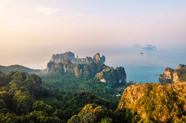 Tropikal bir sabahta kayalık dağların ve denizin yaz manzarası, yengeç.
