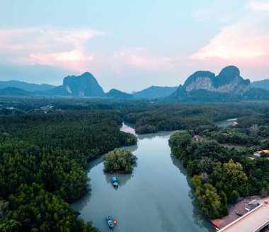 Krabi 'deki yüksek açılı mangrov ormanı ve kanal suyu.