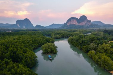 Krabi 'deki yüksek açılı mangrov ormanı ve kanal suyu.