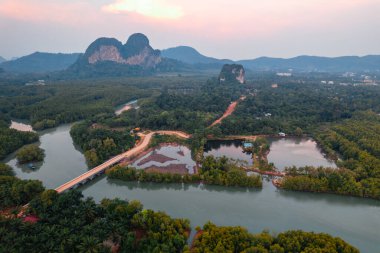 Krabi 'deki yüksek açılı mangrov ormanı ve kanal suyu.