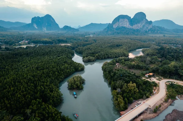 Krabi 'deki yüksek açılı mangrov ormanı ve kanal suyu.