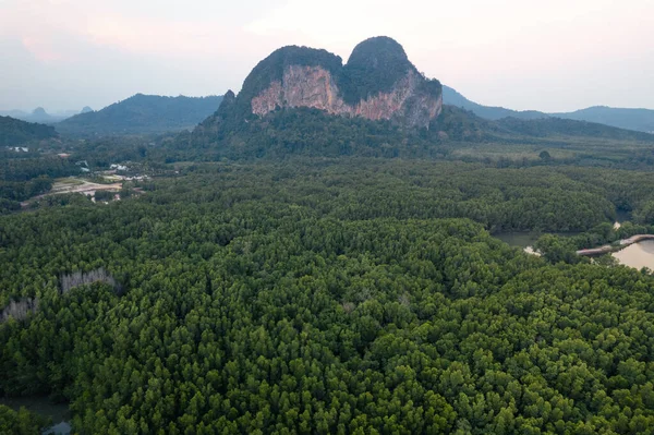 Krabi 'deki yüksek açılı mangrov ormanı ve kanal suyu.