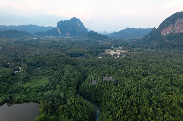 Krabi 'deki yüksek açılı mangrov ormanı ve kanal suyu.