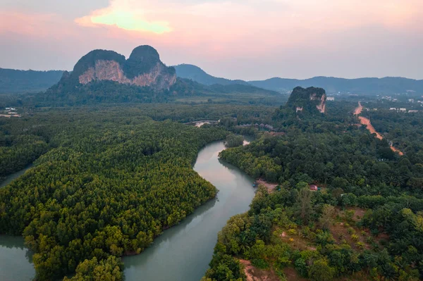 Krabi 'deki yüksek açılı mangrov ormanı ve kanal suyu.