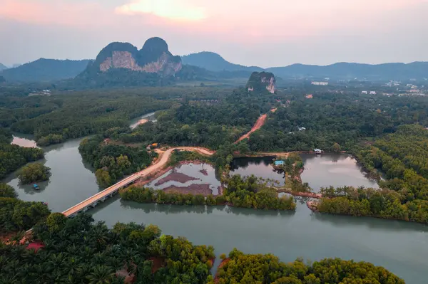 Krabi 'deki yüksek açılı mangrov ormanı ve kanal suyu.