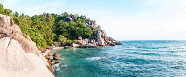 Adada deniz, sahil, kayalar ve hindistan cevizi ağaçları