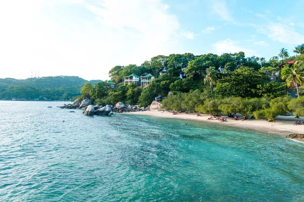 Adada deniz, sahil, kayalar ve hindistan cevizi ağaçları