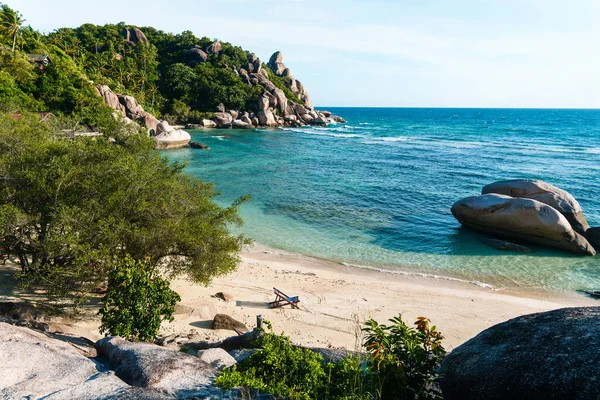 Adada deniz, sahil, kayalar ve hindistan cevizi ağaçları