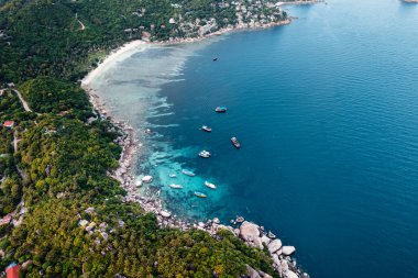 Hindistan cevizi ağaçları, Koh Tao 'da alacakaranlıkta körfez ve yüksek açılı tekneler.