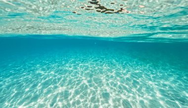 Tropik ada palmiyesi ve su altı, açık deniz ve adada hindistan cevizi ağaçları