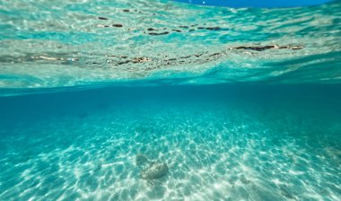 Tropik ada palmiyesi ve su altı, açık deniz ve adada hindistan cevizi ağaçları