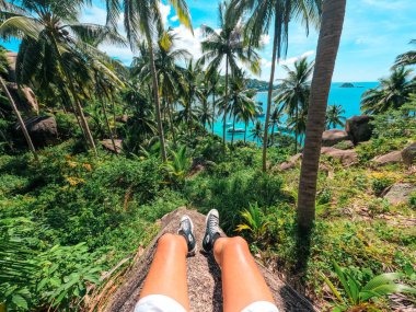 Tropik bir adada kumsalda hindistan cevizi ağaçları