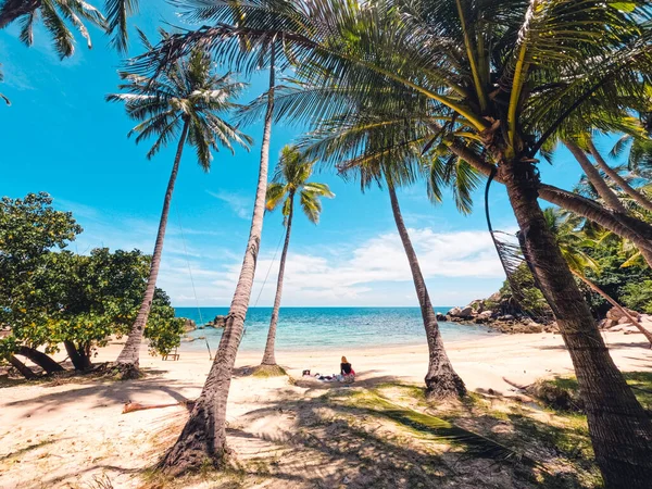 Cocos Playa Una Isla Tropical — Foto de Stock