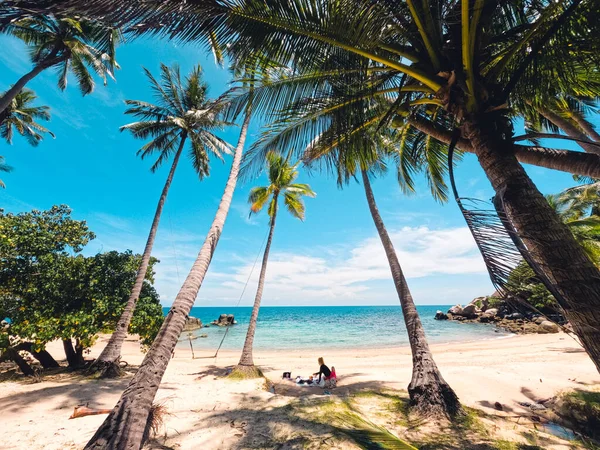 Kokosové Stromy Pláži Tropickém Ostrově — Stock fotografie