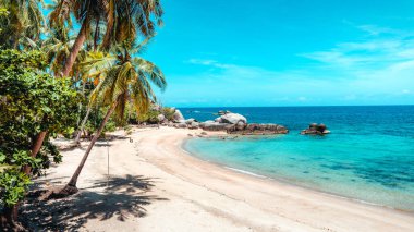 Hindistan cevizi ağaçları ve tropikal deniz plajı yazın, denizde dinlenin.