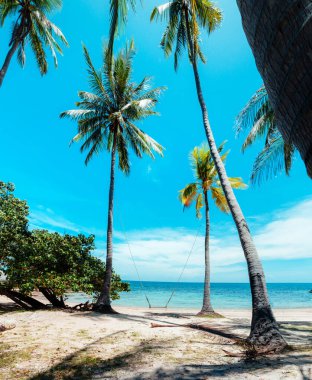 Hindistan cevizi ağaçları ve tropikal deniz plajı yazın, denizde dinlenin.