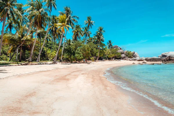 Coconut Trees Tropical Sea Beach Summer Relax Sea — Stock Photo, Image