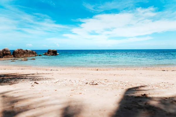 Kokosbomen Tropische Zee Strand Zomer Ontspannen Zee — Stockfoto