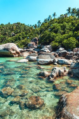 Körfez manzarası ve adadaki kayalar ve Koh Tao 'nun berrak sularındaki kayıklar..
