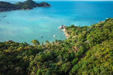 Adadaki hindistan cevizi ağaçları ve deniz bir yaz sabahı yukarıdan, Yaz Adası