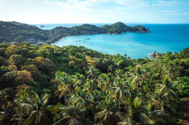 Adadaki hindistan cevizi ağaçları ve deniz bir yaz sabahı yukarıdan, Yaz Adası