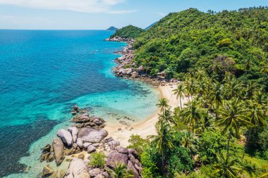 Hindistan cevizi ağaçları ve plajlar yazın yukarıdan