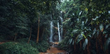 Yağmur mevsiminde tropikal ormanda şelale, Mok Fa Şelalesi