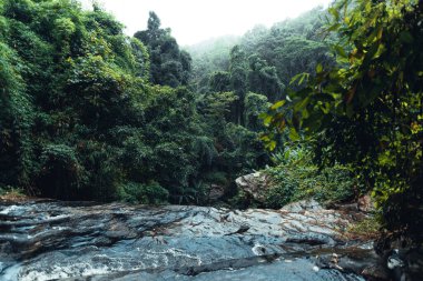 Yağmur mevsiminde tropikal ormanda şelale, Mok Fa Şelalesi