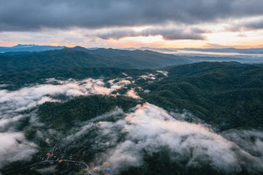 Yüksek açı sabah yeşil orman ve sis, yüksek açı manzarası