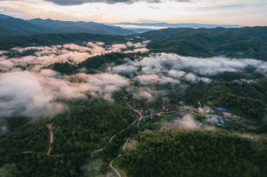 Yüksek açı sabah yeşil orman ve sis, yüksek açı manzarası
