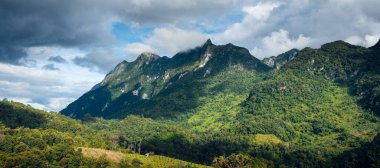 Doi Luang Chiang Dao 'daki yeşil dağ manzarası
