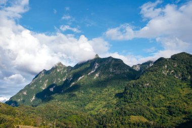 Doi Luang Chiang Dao 'daki yeşil dağ manzarası