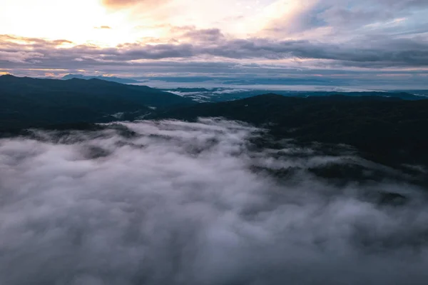Fog Clouds Morning Forest Form — Foto de Stock