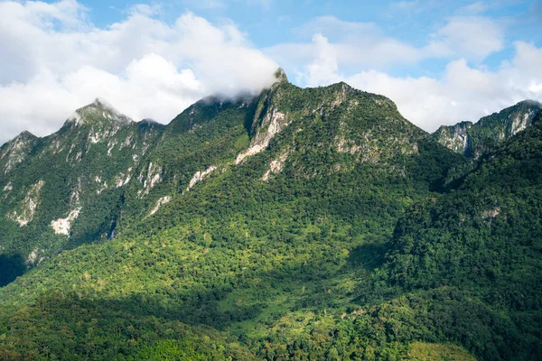 Vista Verde Montaña Doi Luang Chiang Dao —  Fotos de Stock